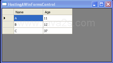 WPF Data Grid View And Resource