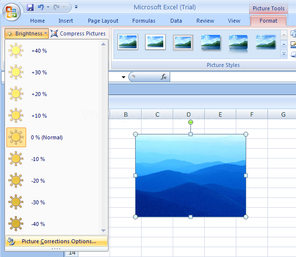 Click Picture Corrections Options to set other specific brightness percentages.