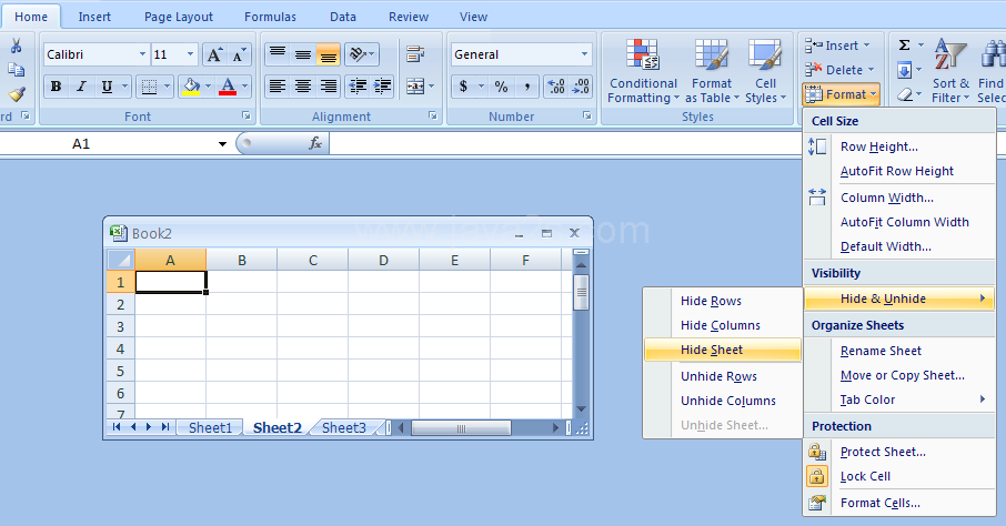 Click the Home tab. Click the Format button. Point to Hide & Unhide and then click Hide Sheet.