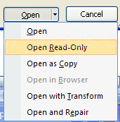 Open Read-Only to open the selected file with protection.
