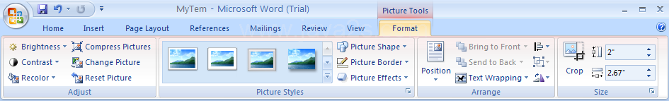 Click the Format tab under Picture Tools.