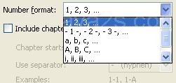 Click the Number format list arrow