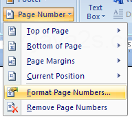 Then click Format Page Numbers.