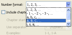 Then select a numbering scheme.