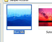 Click the file you want to insert.
