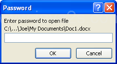 Then type a password to open the document.